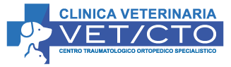 VET CTO – Dr Alessandro Tripicchio – Clinica Veterinaria Logo